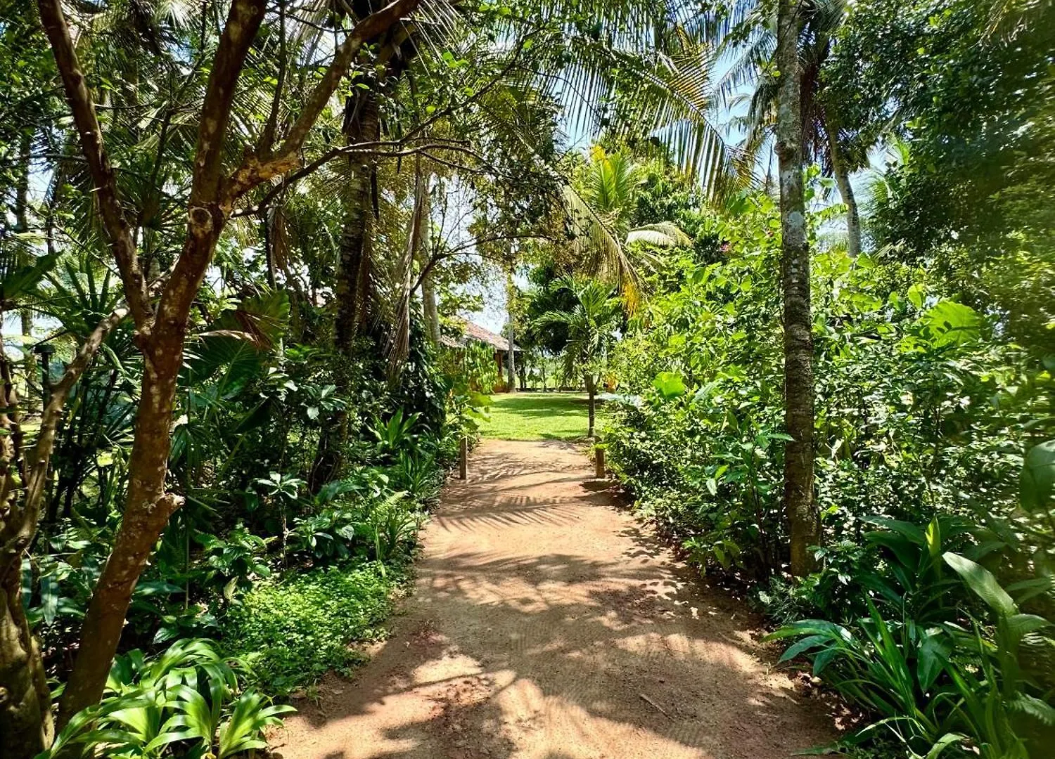 Hotel Kirindi Paddy Isle Negombo