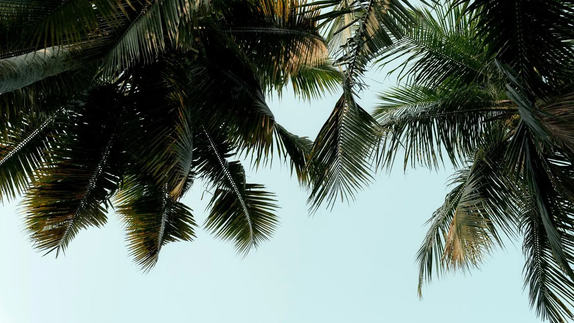 Hotel Kirindi Paddy Isle Negombo 4*,  Šrí Lanka
