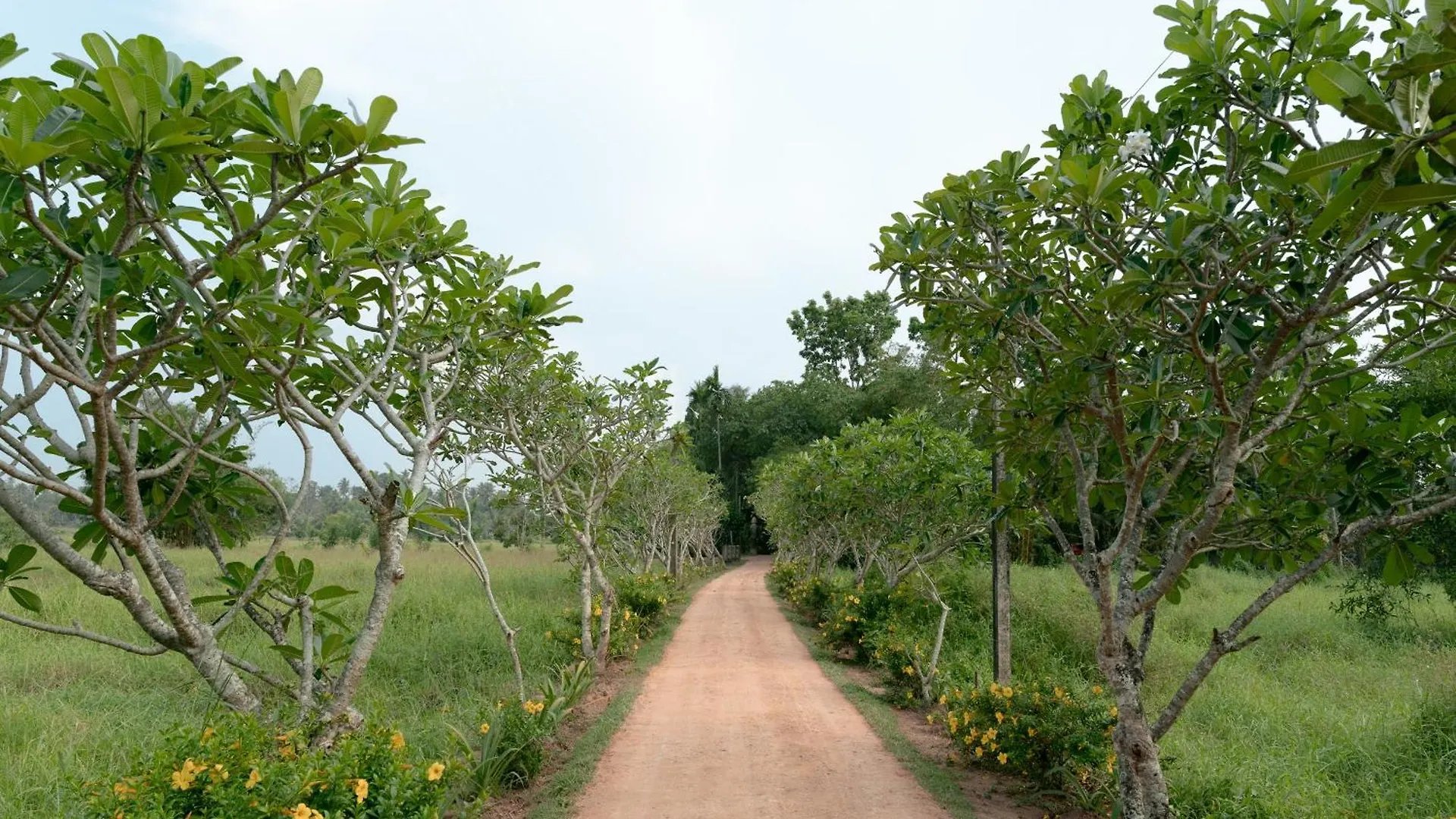 ****  Hotel Kirindi Paddy Isle Negombo Šrí Lanka