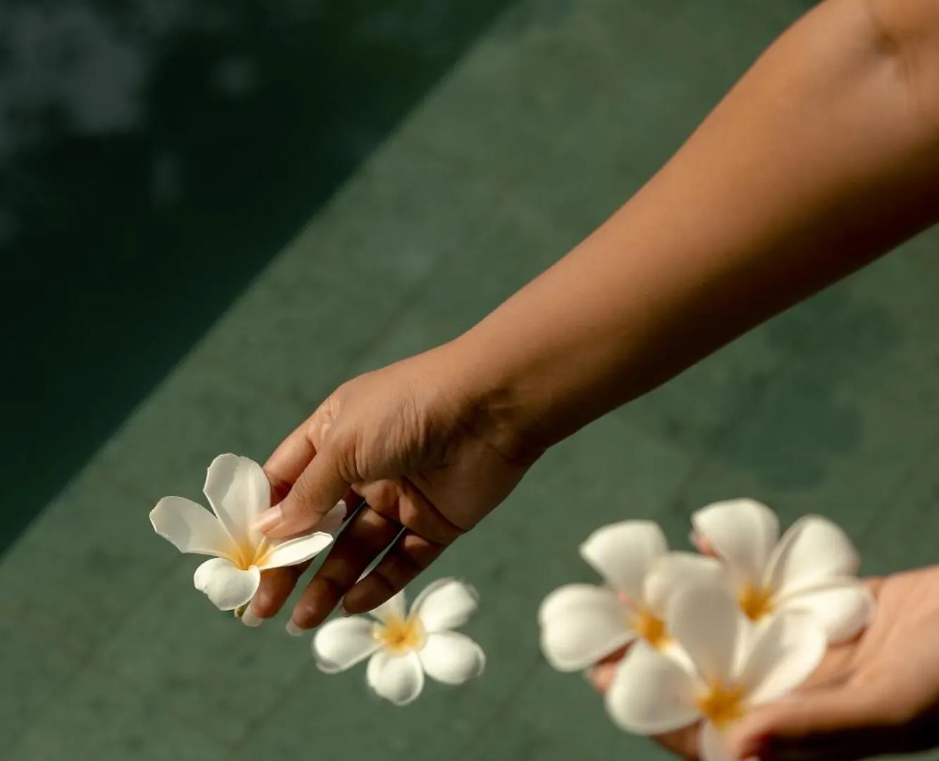 Hotel Kirindi Paddy Isle Negombo