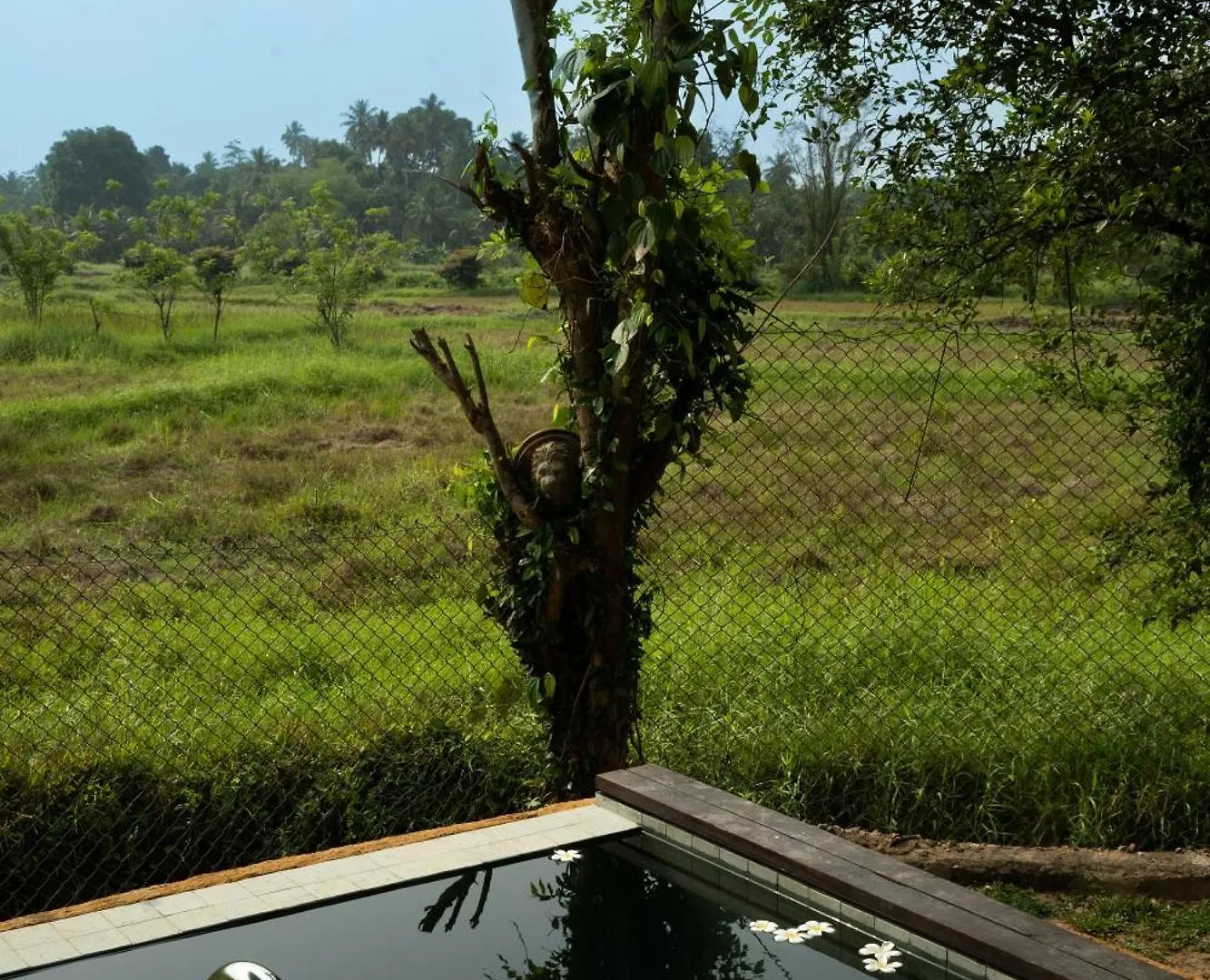 ****  Hotel Kirindi Paddy Isle Negombo Šrí Lanka
