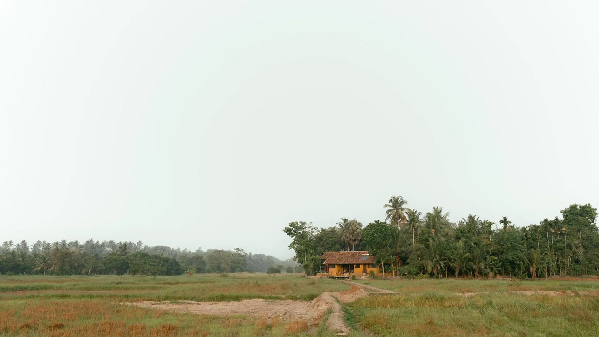 Hotel Kirindi Paddy Isle Negombo