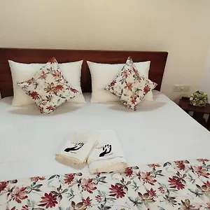Elzangi ** Negombo